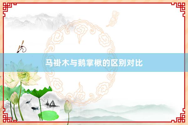 马褂木与鹅掌楸的区别对比